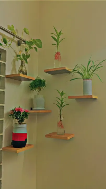 Indoor%20plants%20rack%20-%20Image%202