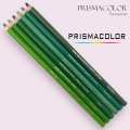 Prismacolor Junior Wooden Colored Pencils Sold Individually (Green Group). 