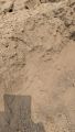 Bhallu Mitti 25KG - Bhal Matti - Sandy Soil with Nutrients for All Type of Plants by Home Garden. 