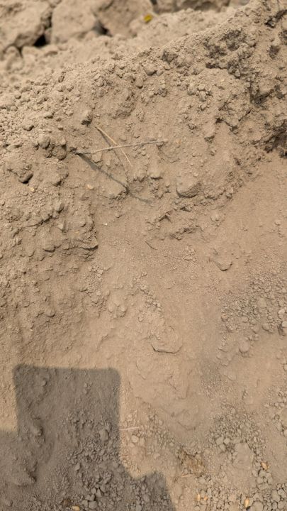 Bhallu Mitti 25KG - Bhal Matti - Sandy Soil with Nutrients for All Type of Plants by Home Garden