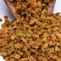 Raisins (Kismis) Dry Fruit, (1kg, 500g, 200g, 100g). 