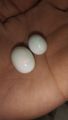 Real opal stone. 