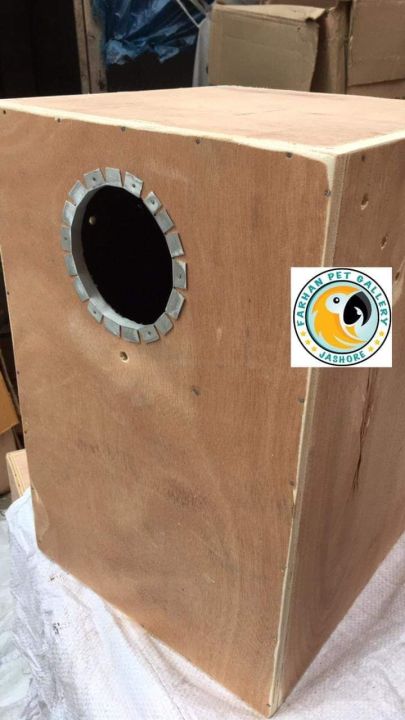 Ringneck%20Parrot%20Breeding%20Box%20-%20Image%206