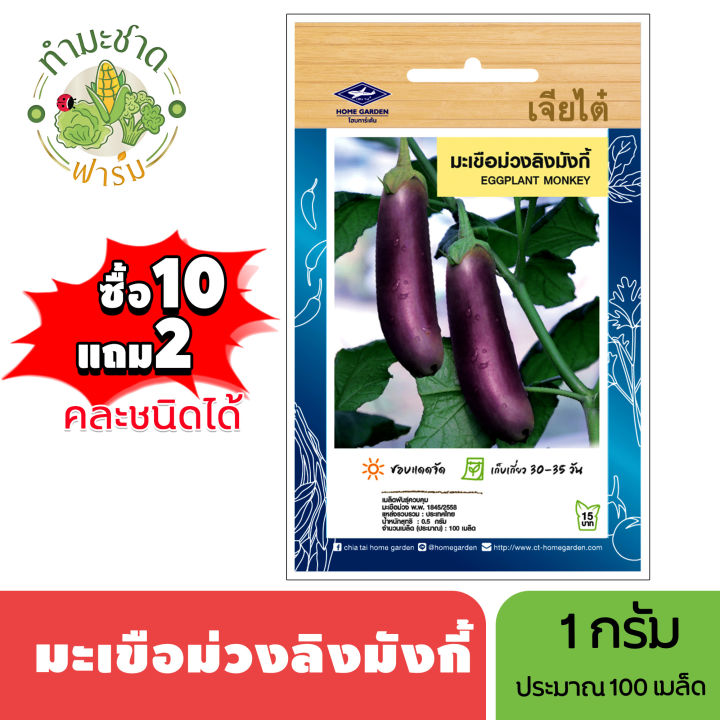Chia Tai (buy 10 get 2) 1g of eggplant, monkey, monkey, about 100 seeds, eggplant, eggplant, seeds, vegetable seeds, garden, kitchen