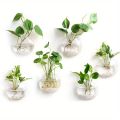 Hanging Glass Terrarium - Semi-Circular Hydro Planter for Wall Decor, Fish Tank & Plant Display home decoration item.