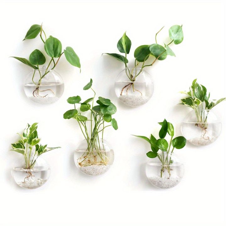 Hanging%20Glass%20Terrarium%20-%20Semi-Circular%20Hydro%20Planter%20for%20Wall%20Decor,%20Fish%20Tank%20&%20Plant%20Display%20home%20decoration%20item%20-%20Image%202