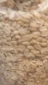 Mong Phali Dana Fried (Peanuts) 500 gm. 