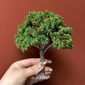 1pc Realistic Fruit Tree Decor, Miniature Sand Table Building Model Decoration, DIY Fruit Trees Miniature Landscape Decoration. 