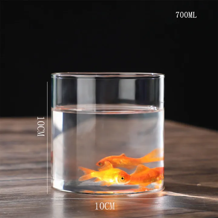Transparent%20Glass%20Hydroponic%20Vase%20Minimalist%20Glass%20Vase%20Cylinder%20Flower%20Vase%20for%20Wedding%20Living%20Room%20Decorative%20Gift%20-%20Image%204