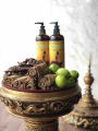 Lily Herb Myanmar Traditional Tayaw-Kinpun Shampoo 400 ml. 