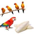 Cuttlefish Bone For Birds 500g. 