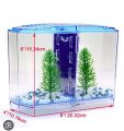 Fighter Fish Tank Double + Filter System. 