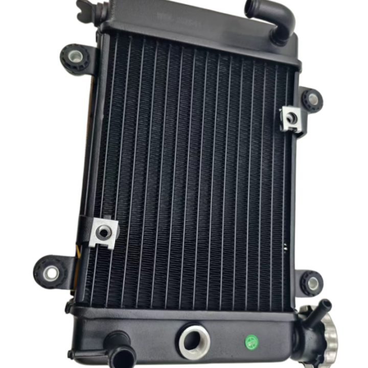 Buggy Rear Radiator Water Cooling Tank Radiator For Bashan 200-7 250cc 200cc electric ATV ...