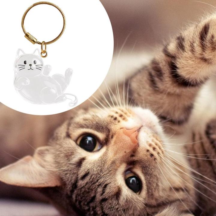 New%20Transparent%20Cat%20Hair%20Storage%20Keychain%20Stretching%20Lying%20Style%20Cute%20Animal%20Key%20Ring%20Durable%20Golden%20Hook%20Decorative%20Gift%20-%20Image%203