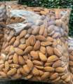 Almond Badam Nuts Packet 1kg. 