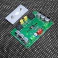 Gold A542 TPA3116 100W Mono Audio Amplifier Board - High-Power Class D Amp Module - DC 5V-24V. 