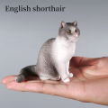 Simulation Cat Model Action Figures Set - Siamese Sphynx Persian Breeds Miniature Pet Figurines for Kids Educational Home Decor.