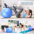 Gym Ball Exercise Ball Yoga Ball Rubber Ball 85 Cm Biggest Size. 