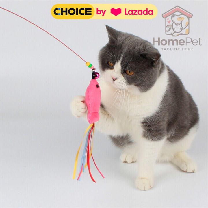 Pet cat wooden cat feather head cat litter hook set and just head
