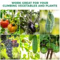Multi Use Plant Trellis Netting Heavy-Duty Polyester Plant Support Vine Climbing Hydroponics Garden Net Accessories. 