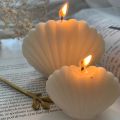 1pc 3D Shell Silicone Scented Candle Mold for DIY Aromatherapy Wax and Clay Crafts. 