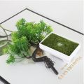 Garden Arrangement Ornaments Plastic Plants Bonsai Small Tree Pot Fake Plant Potted Flower Home Room Table Decoration. 