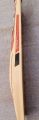 SG cricket hard ball Bat (fine quality). 