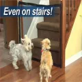 Tall Pet Dog Gate Retractable Safety Guard Retractable Toddler Stair Gate Isolation Ingenious Mesh Dog Fence Indoor Outdoor. 