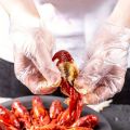 100PcsTPE Disposable Gloves Latex Free Transparent Waterproof Gloves DIY Hair Dyeing Household Kitchen Cleaning Tool. 