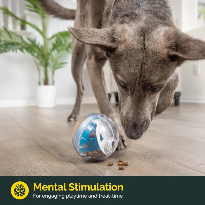 IQ%20Treat%20Ball%20Dog%20Treat%20Dispenser%20Toy%20Ball%20Interactive%20Dog%20Toy%20-%204"%20Dog%20Food%20Toy%20Stimulation,%20Slow%20Feeder%20-%20Image%205
