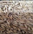 Juwi phunch seeds 1kg  for birds or other animals. 