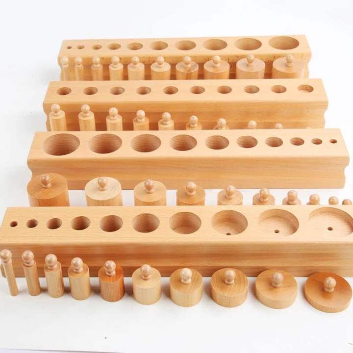 Knobbed Cylinder Sockets Blocks Wooden Educational Montessori Kids ...