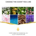 Essential Oil Water Soluble for Aromatherapy Diffuser Humidifier Room Fresheners Stress Relief Rose Lily Lavender Freesia 10ml. 