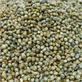 Pets Premium Pearl Millet Seeds For Small Birds (Bareek Bajra) (1 KG). 