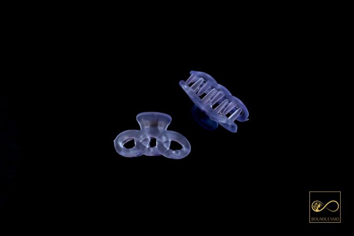 (2%20piece)%20Mini%20hair%20claw%20clip%20from%20BOUNDLESSIO%20-%20Image%206