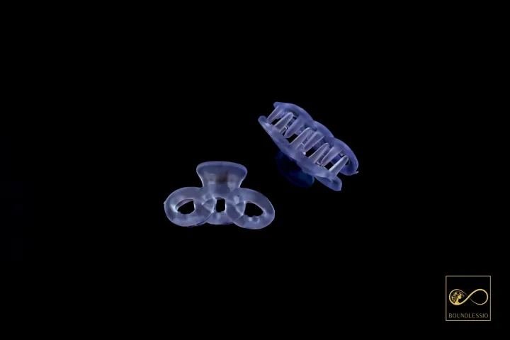 (2%20piece)%20Mini%20hair%20claw%20clip%20from%20BOUNDLESSIO%20-%20Image%206