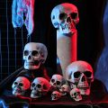 Plastic Skull Head  All Size Realistic Skull Skeleton Head for Halloween Party Home Garden Lawn Decor Haunted House Horror Props. 