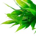 15cm Artificial Aquarium Decor Plants Water Weeds Ornament Aquatic Plant Fish Tank Grass Decoration Accessories.