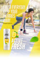 Zinc Shampoo Anti Dandruff Active Fresh With Lemon   (340ml). 