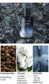 Men's Perfume, Fresh and Natural Perfume, Luxurious, Irish Napoleon Style for Male Students. Durable, Authentic Men's Perfume, Jean Miss Perfume, Perfume Set. 