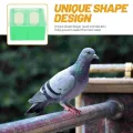 Pigeon Feed Box Parrot Feeder Hanging Plastic Pet for Cage Bird Cockatiel Water Trough Containers Food. 