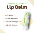 Mamaearth Nourishing 100% Natural Lip Balm with Vitamin E and Shea Butter 4 g. 