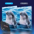 SPIDER Android TV 📺 Box Made In Korea Imported Box Orignal 4GB RAM 64GB ROM Allwiner H616 Processor Fastest Box With Free 3000+ Channels. 