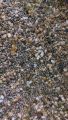 pigeon feed (kabootar dana 25kg). 