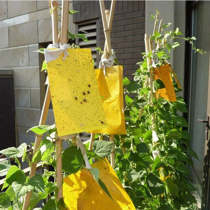 Sticky Paper Insectiode 5-20pcs Sticky Insect Board Powerful Flycatcher Sticker Sheet ...