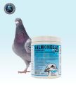 Salmonella Mix 4 In 1 in Loose & Company Pack - Bacterial / Canker Treatment for all types of Birds ( DAC PHARMA NEATHERLAND ). 