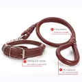 Dog Collar and Leash Set Round Strong Pet Walking Training Leash for Small Medium Big Dog. 