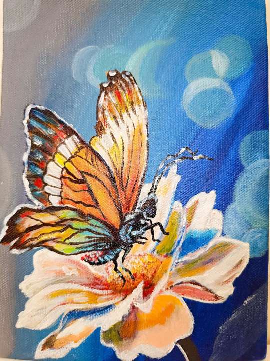 Butterfly art - by creative medico used high quality Arcylic paint