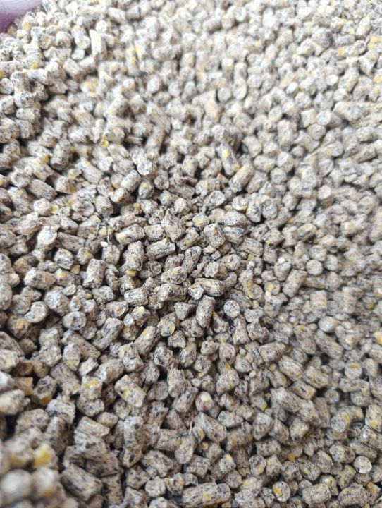 Chickens%20Poultry%20Feed%20No%2013%20broiler%20breeder%20crumbs%201KG%20-%20Image%202