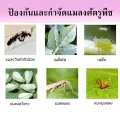 (200 tablets) treatment of aphids, all kinds of aphids, kill aphids, do not hurt plants, improve soil, insect control red mites, thrips, cold aphids, aphids in the Rose.. 